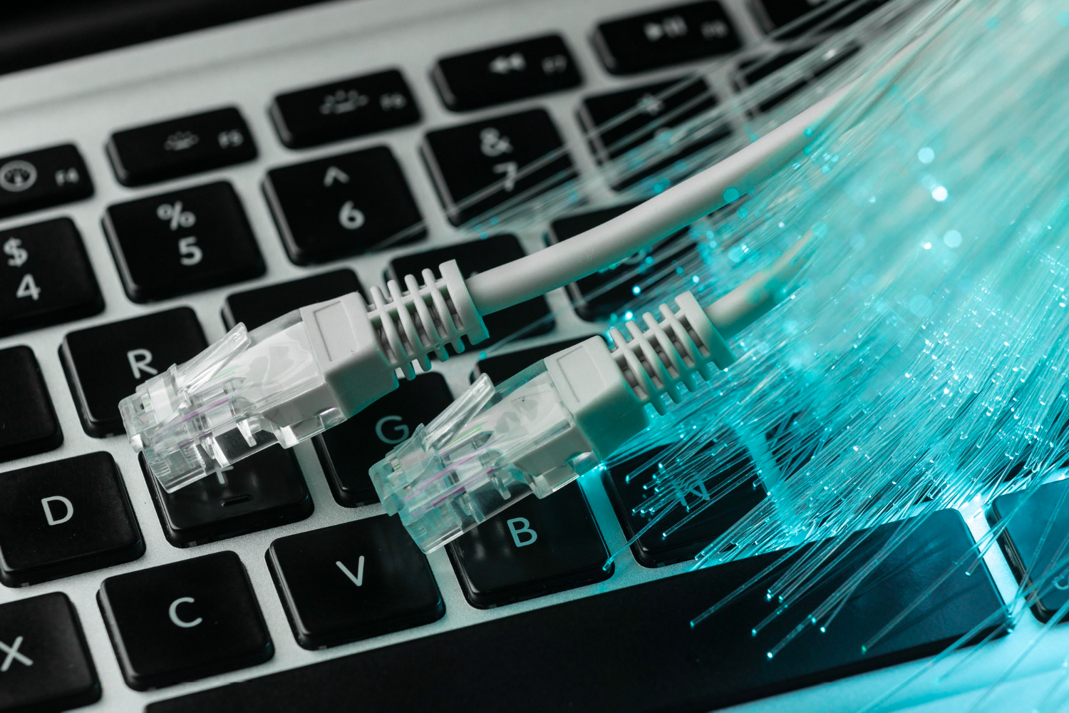 Jak používat Google DNS a jak je nastavit na počítači